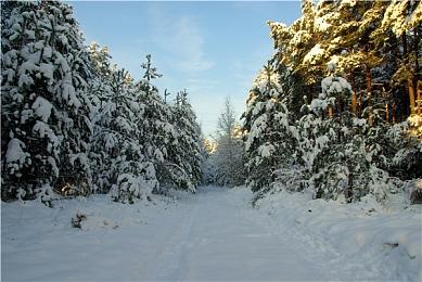 《小缇娜的奇幻之地》新截图发布 IGN称赞故事有魅力